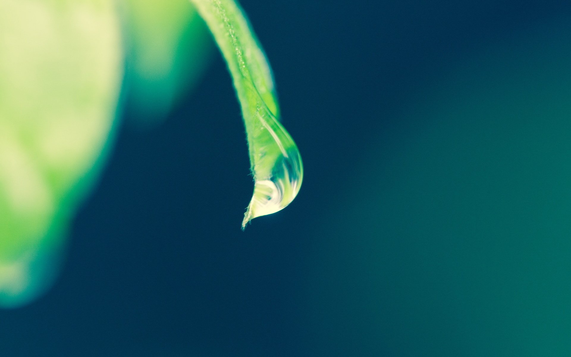 小清新,LOMO,意境,非主流,日系,儿童桌面专用