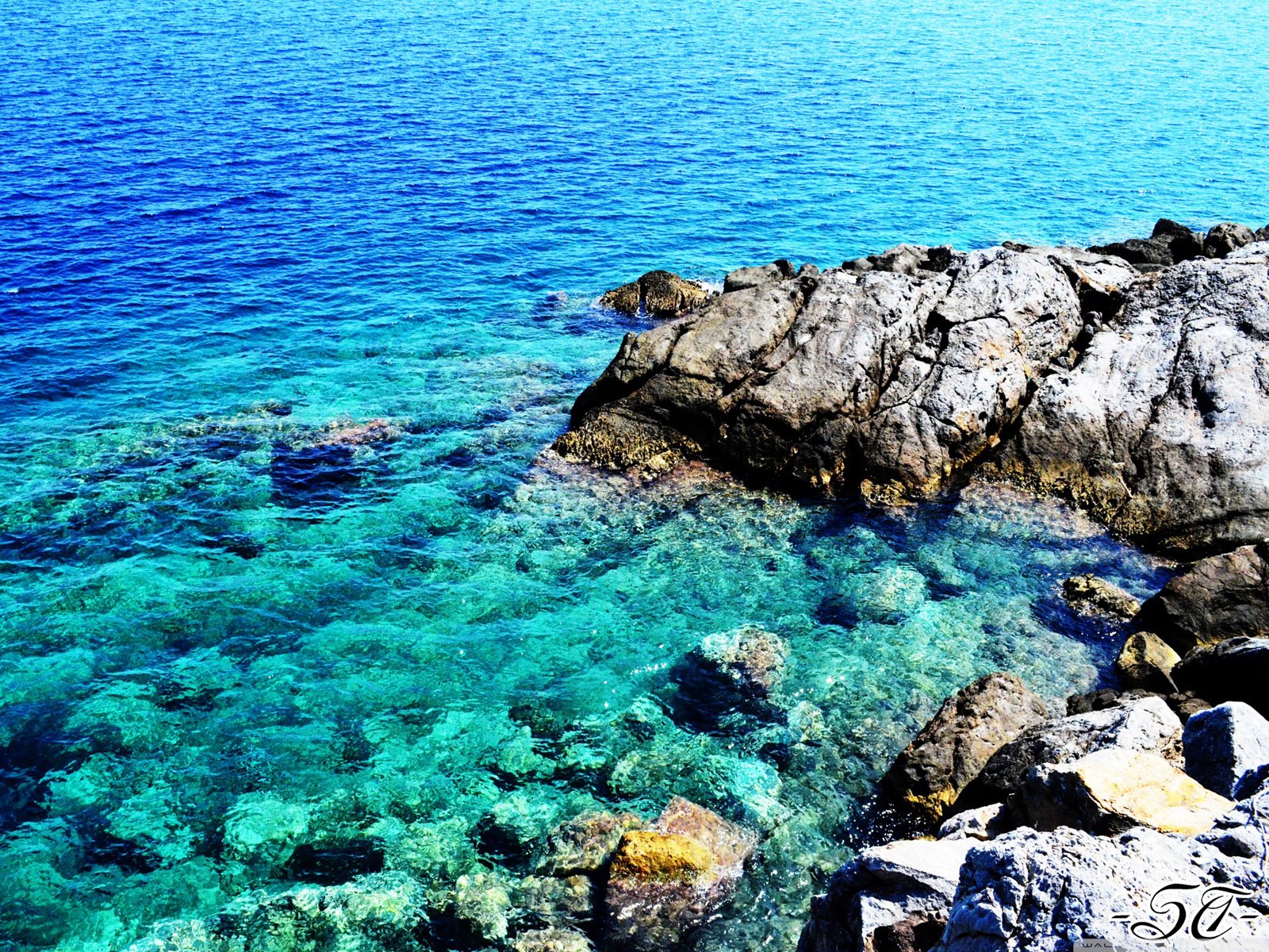 风景,儿童桌面专用