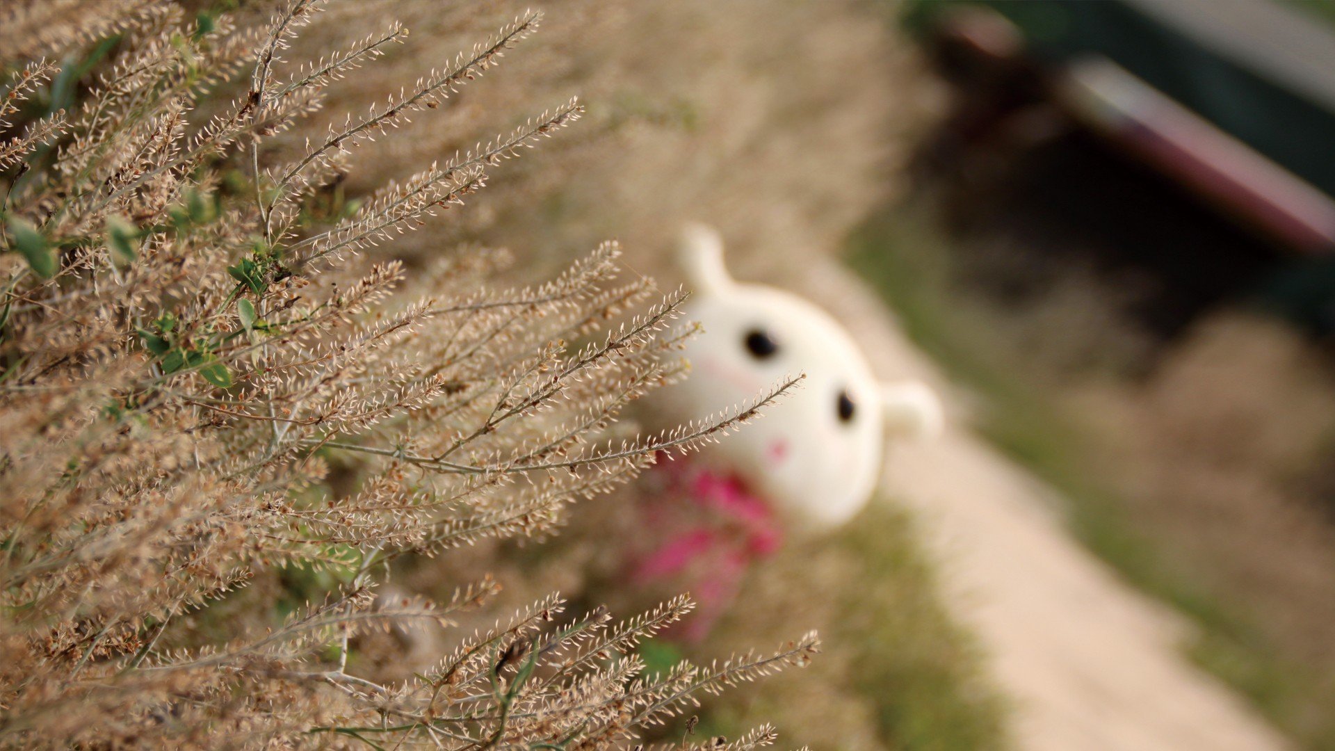 小清新,意境,LOMO,非主流,儿童桌面专用