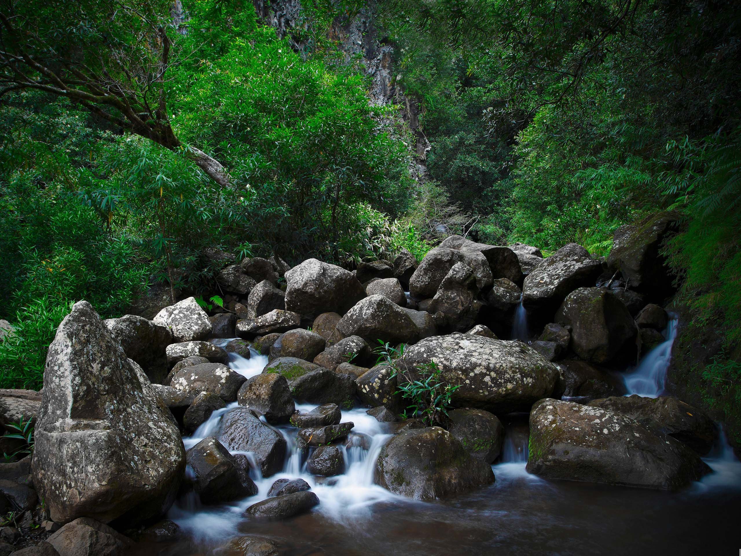 风景,儿童桌面专用