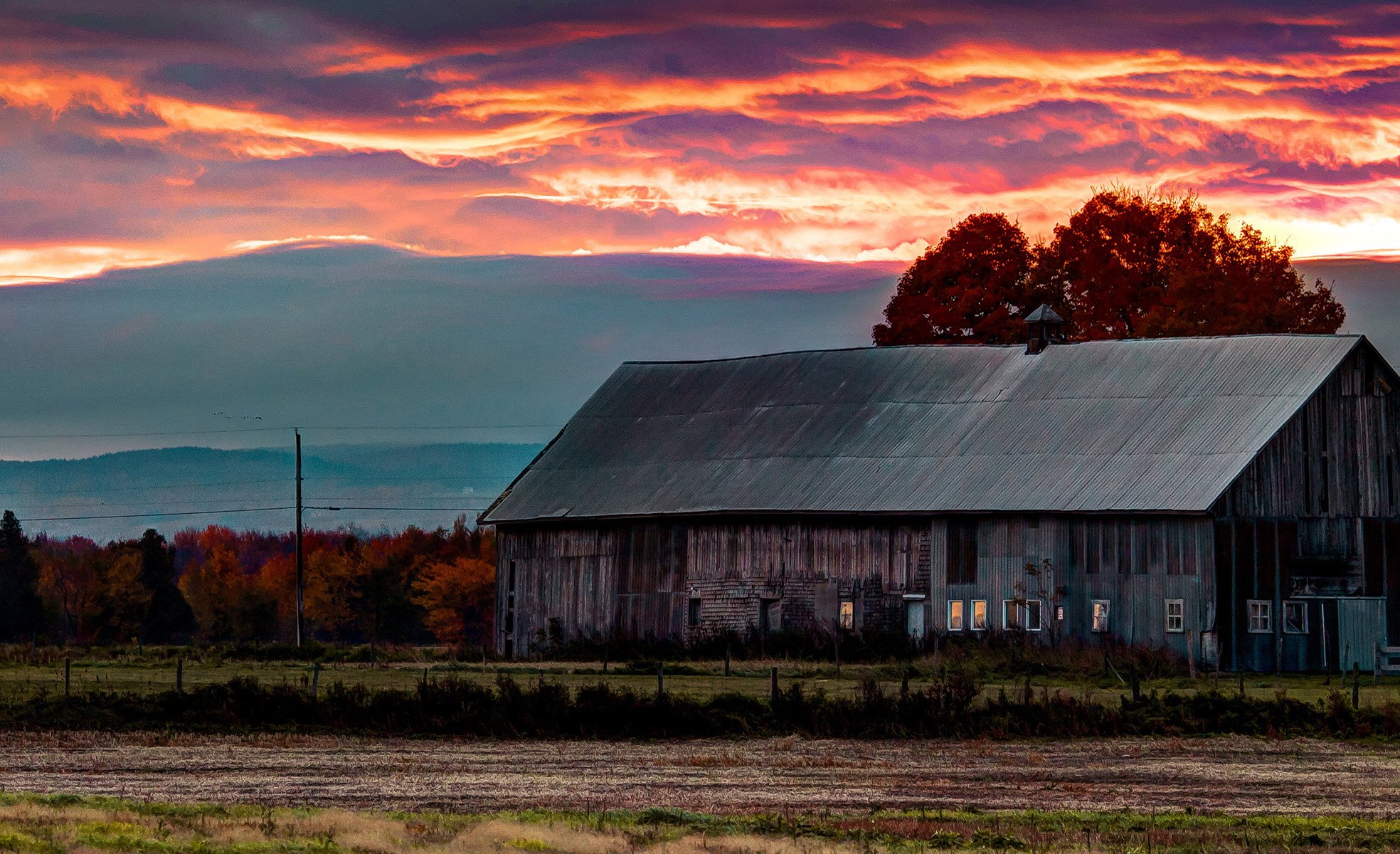 风景,儿童桌面专用
