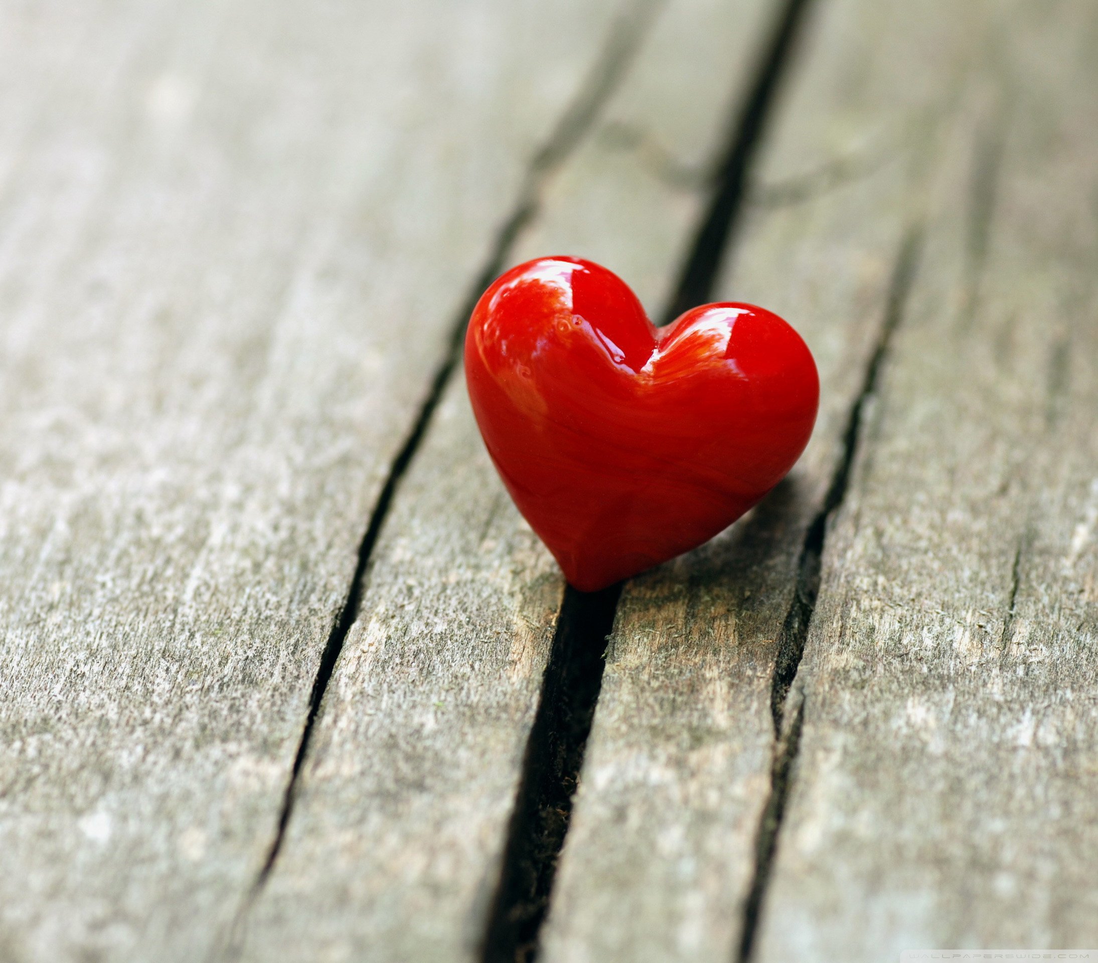 小清新,儿童桌面专用