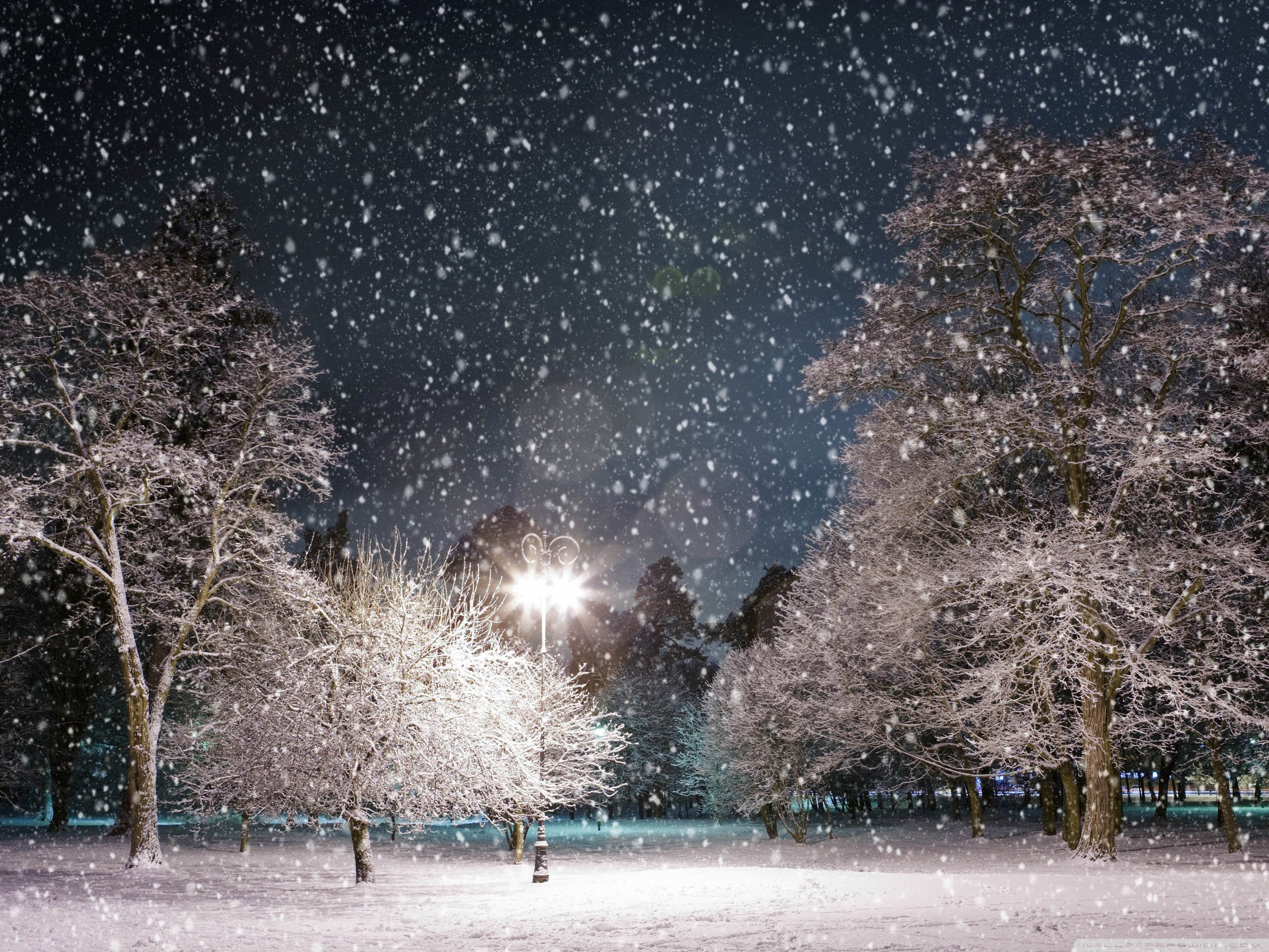风景,儿童桌面专用