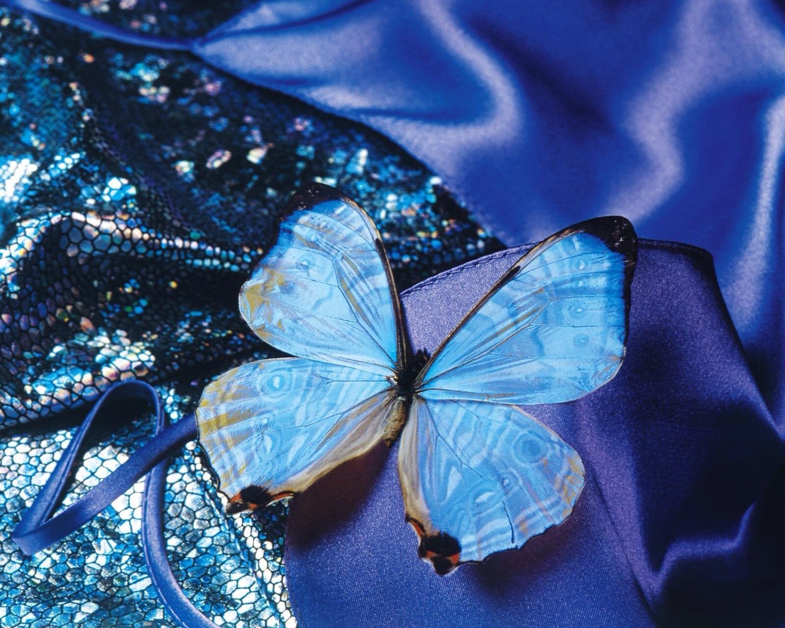 小清新,儿童桌面专用