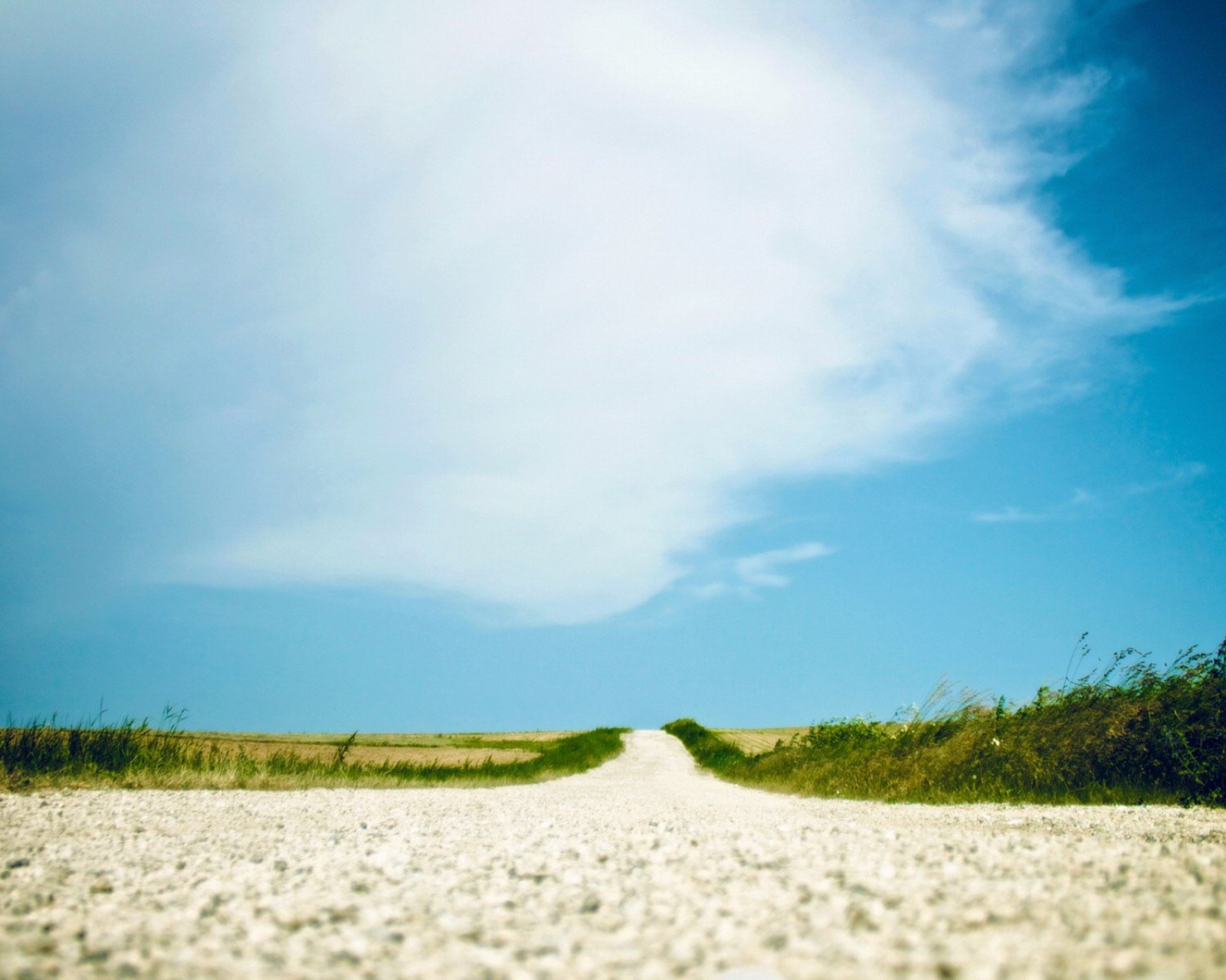风景,儿童桌面专用