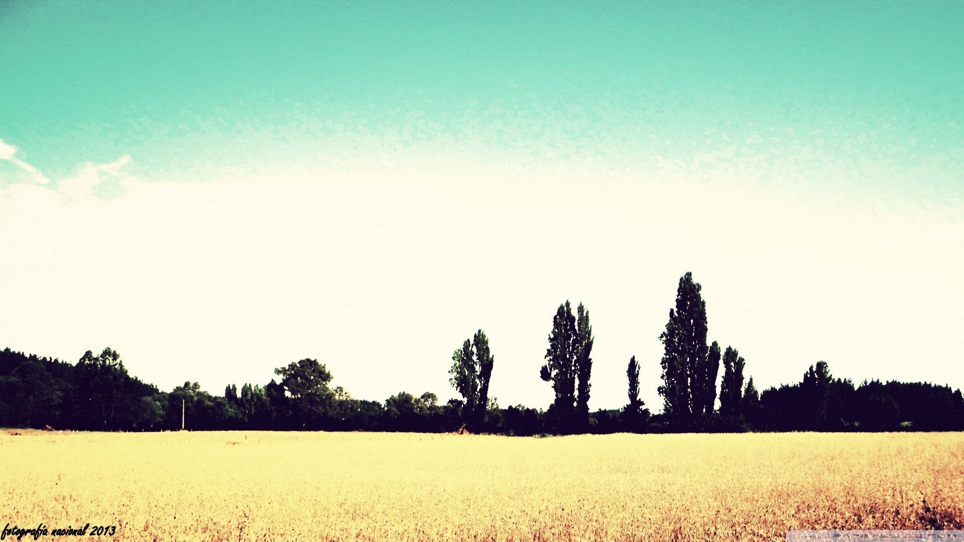 小清新,唯美,温暖,安静,阳光,温馨,儿童桌面专用