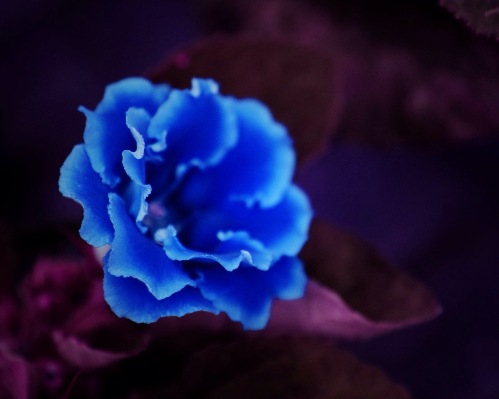 小清新,儿童桌面专用