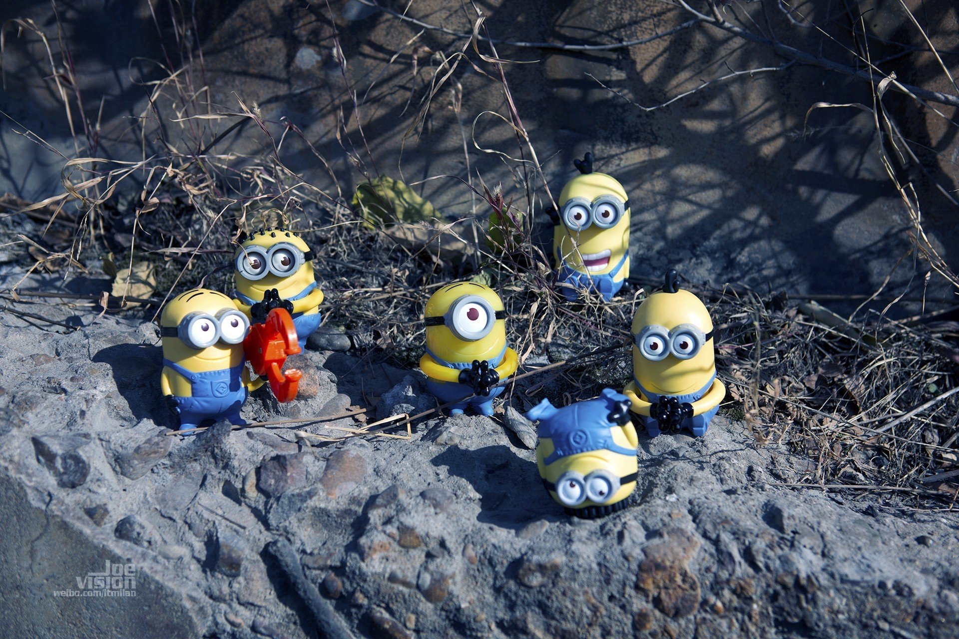 电影,卑鄙的我,神偷奶爸,小黄人,摄影,小黄人专辑