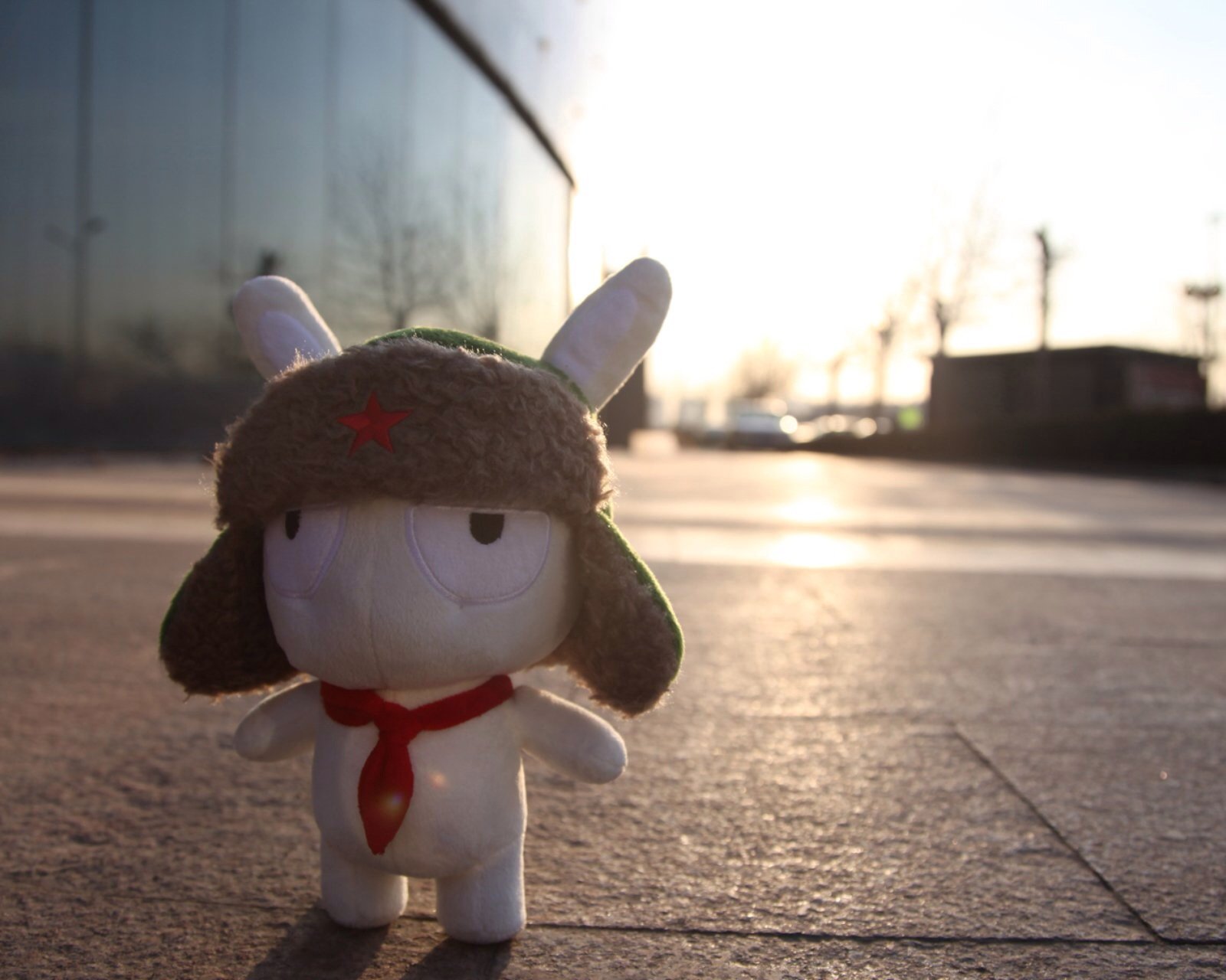 小清新,儿童桌面专用