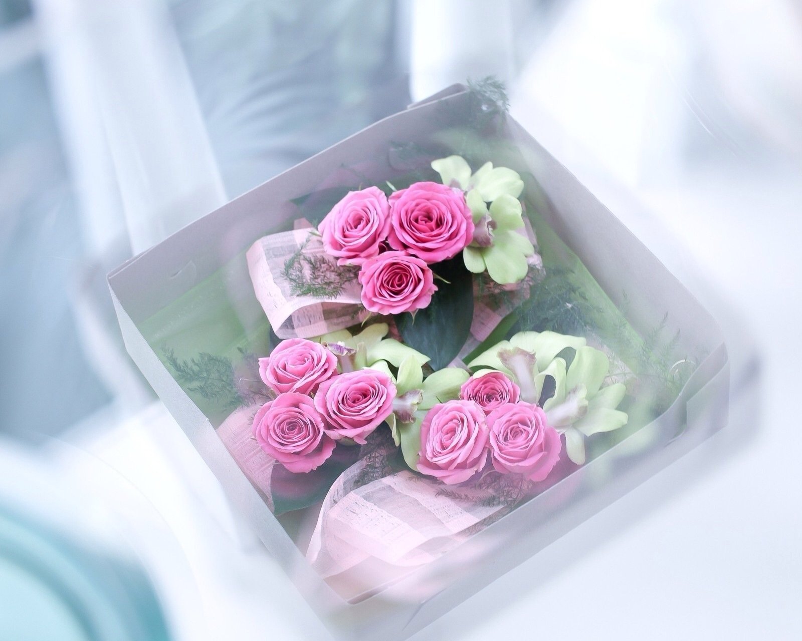 小清新,儿童桌面专用