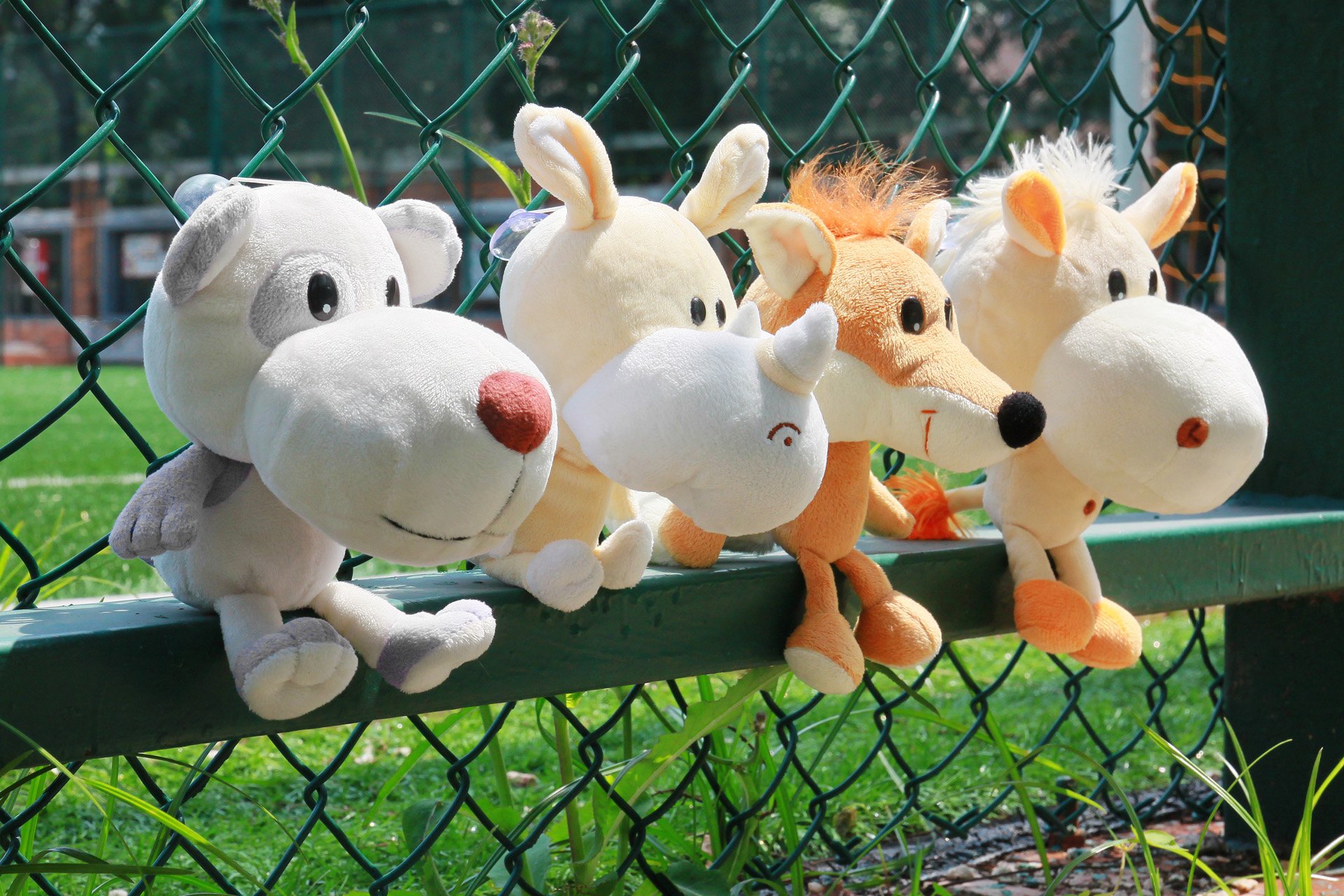 小清新,儿童桌面专用