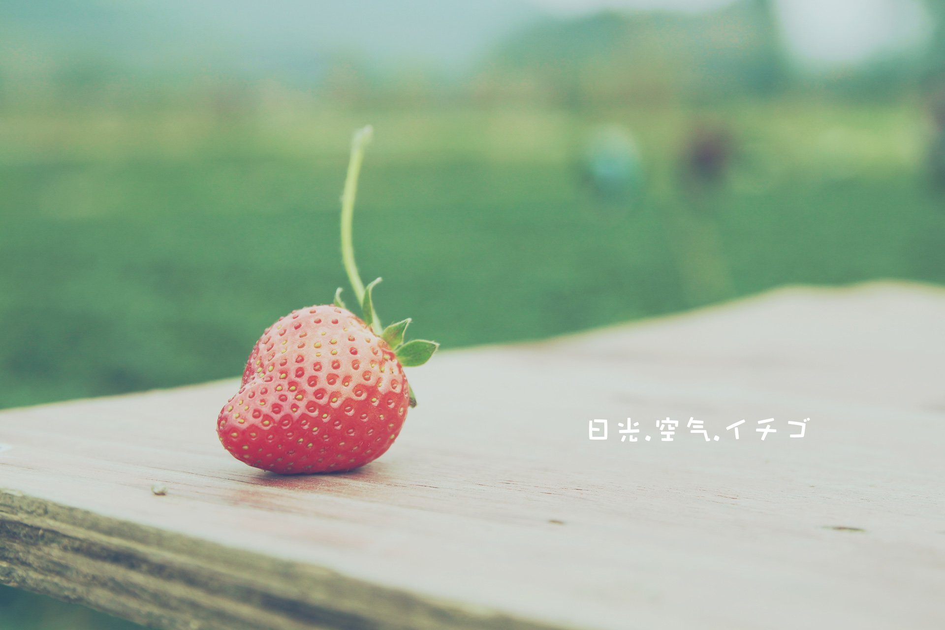 小清新,儿童桌面专用