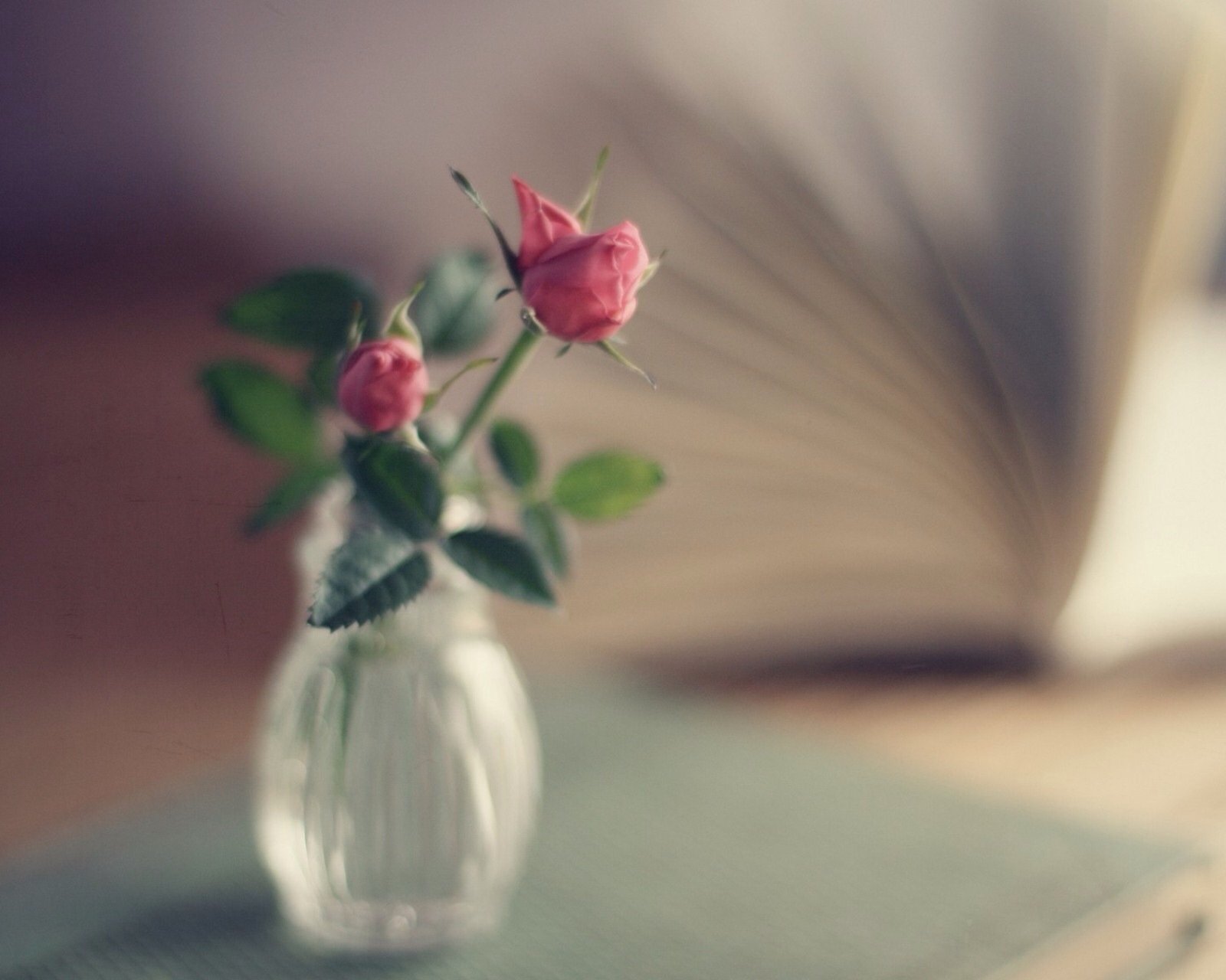 小清新,儿童桌面专用