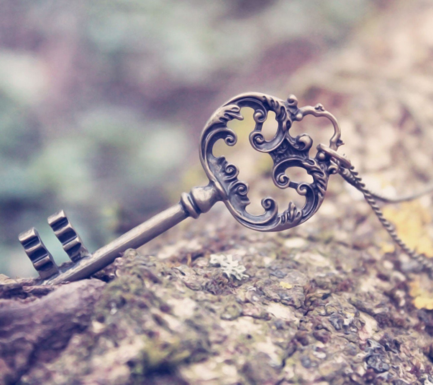 小清新,儿童桌面专用