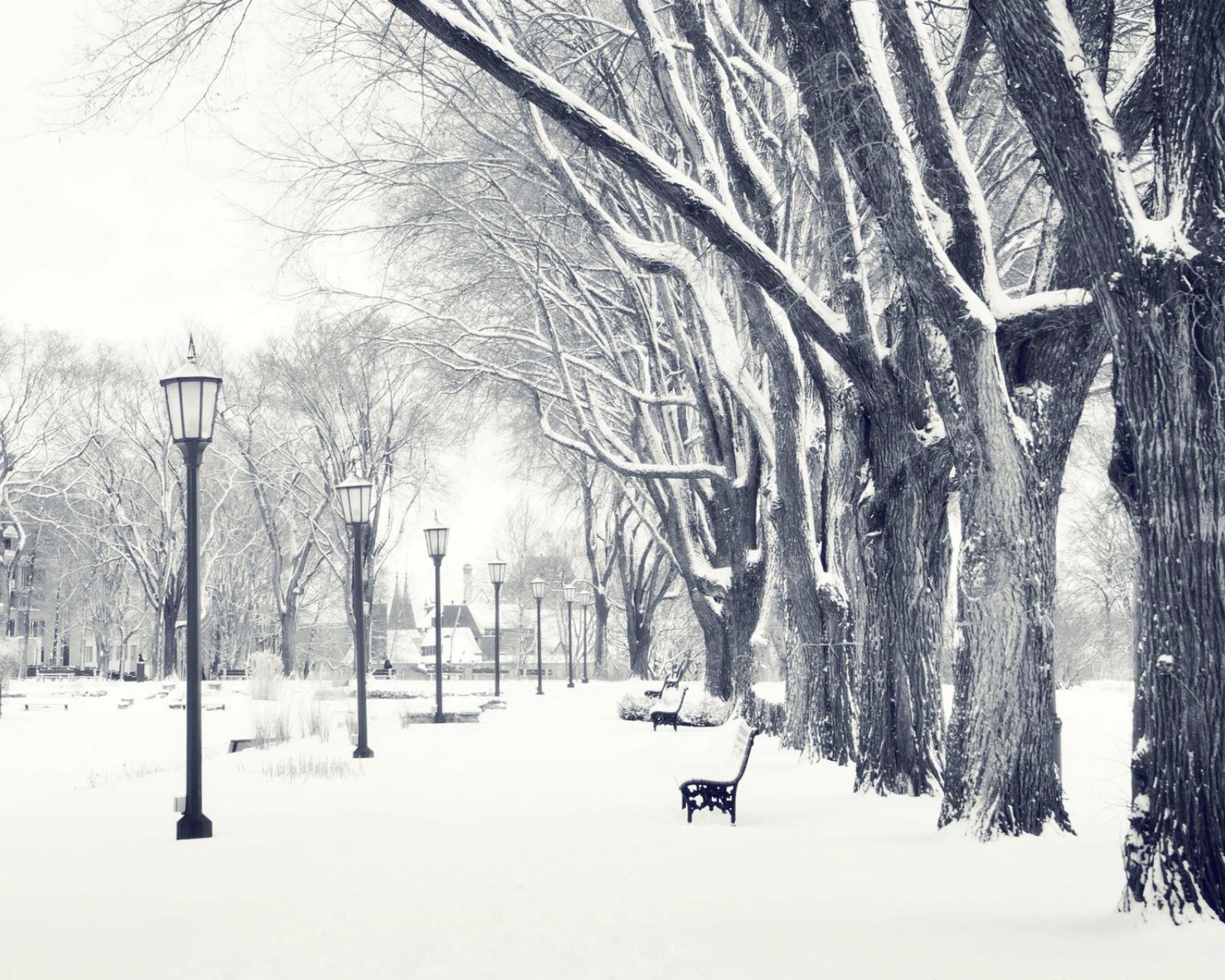 风景,儿童桌面专用