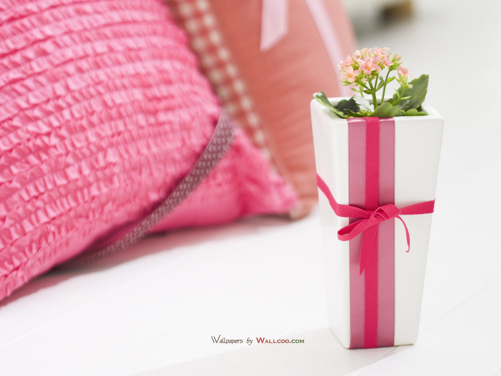 小清新,儿童桌面专用