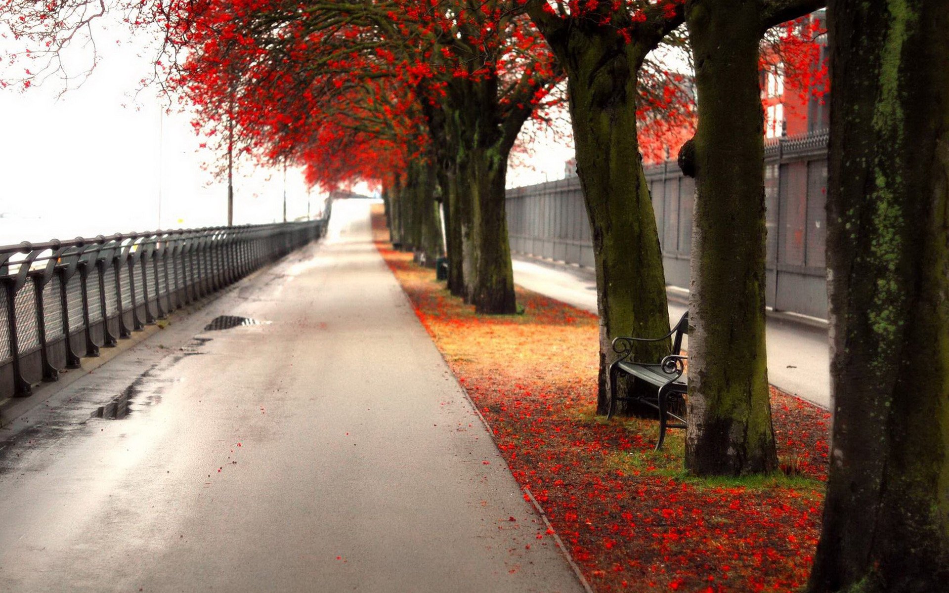 风景,儿童桌面专用