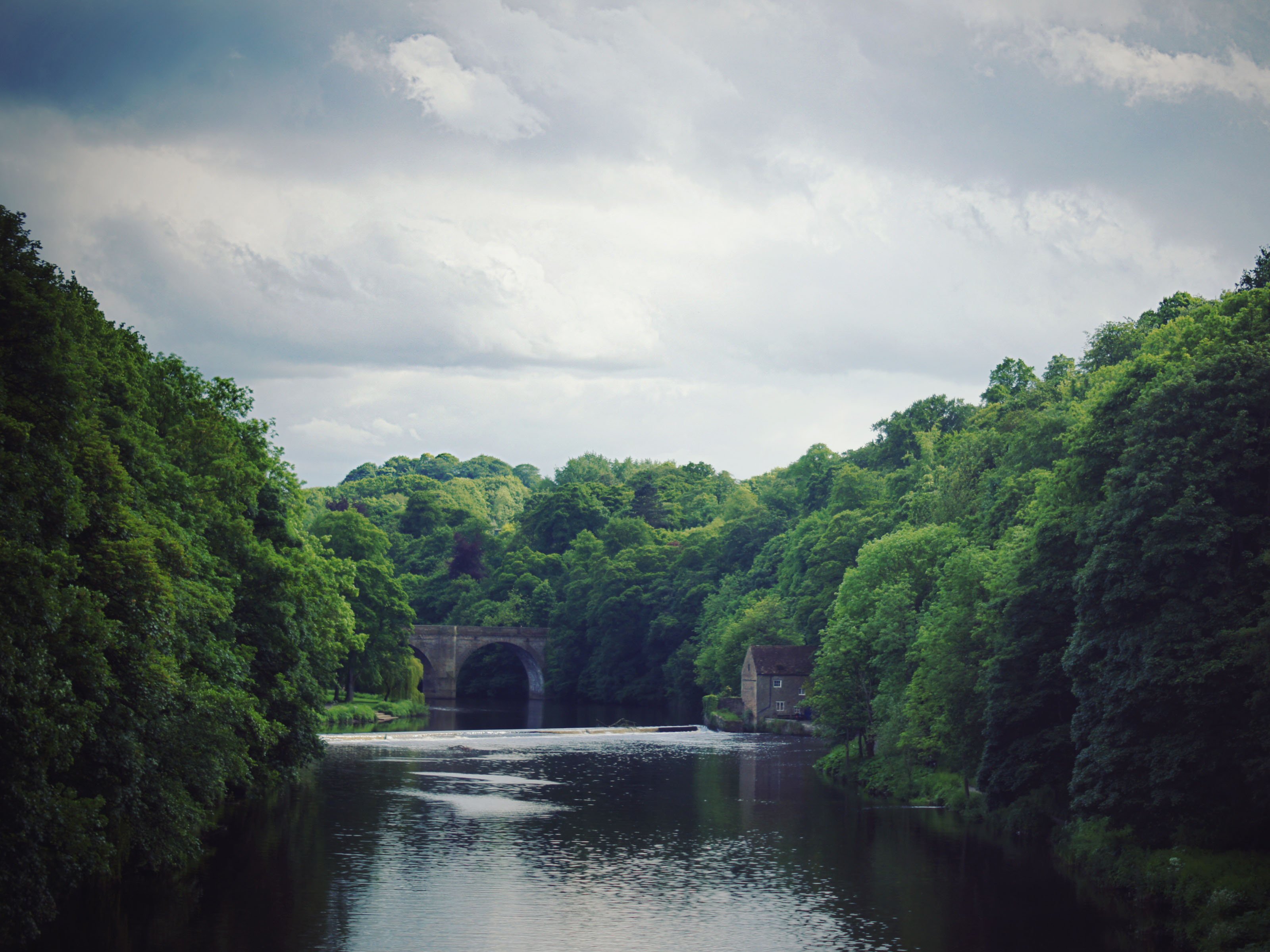 风景,儿童桌面专用