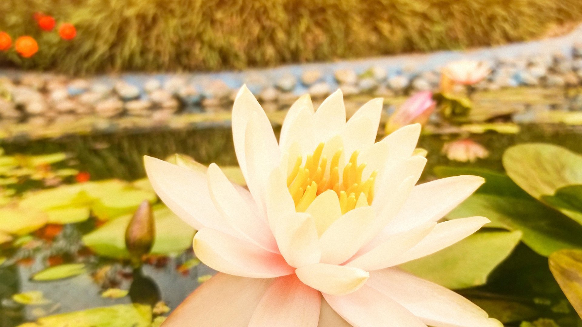 小清新,唯美,温暖,安静,阳光,温馨,儿童桌面专用