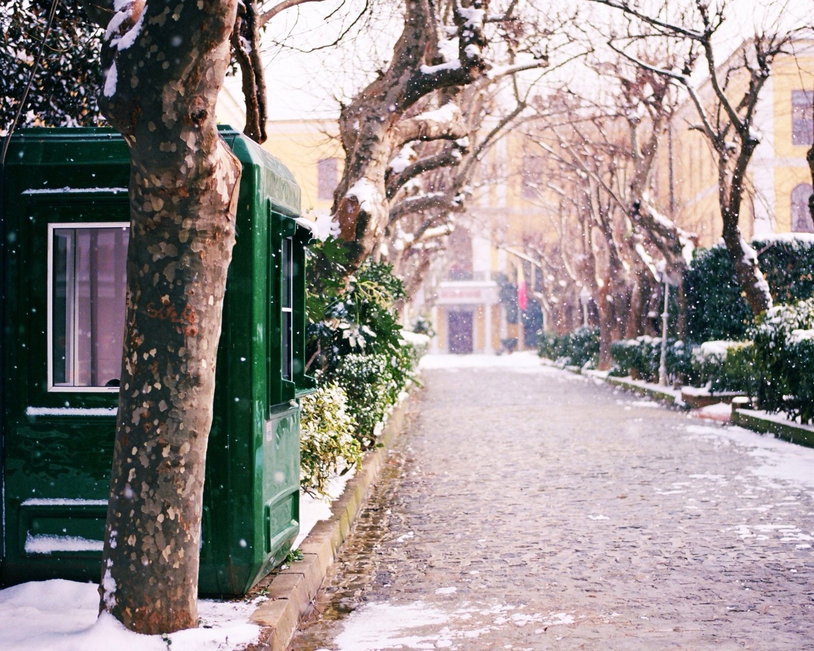 风景,儿童桌面专用