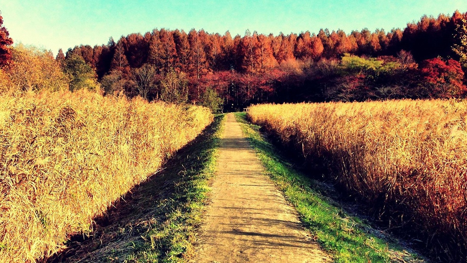 风景大片,美景,唯美,心旷神怡,儿童桌面专用