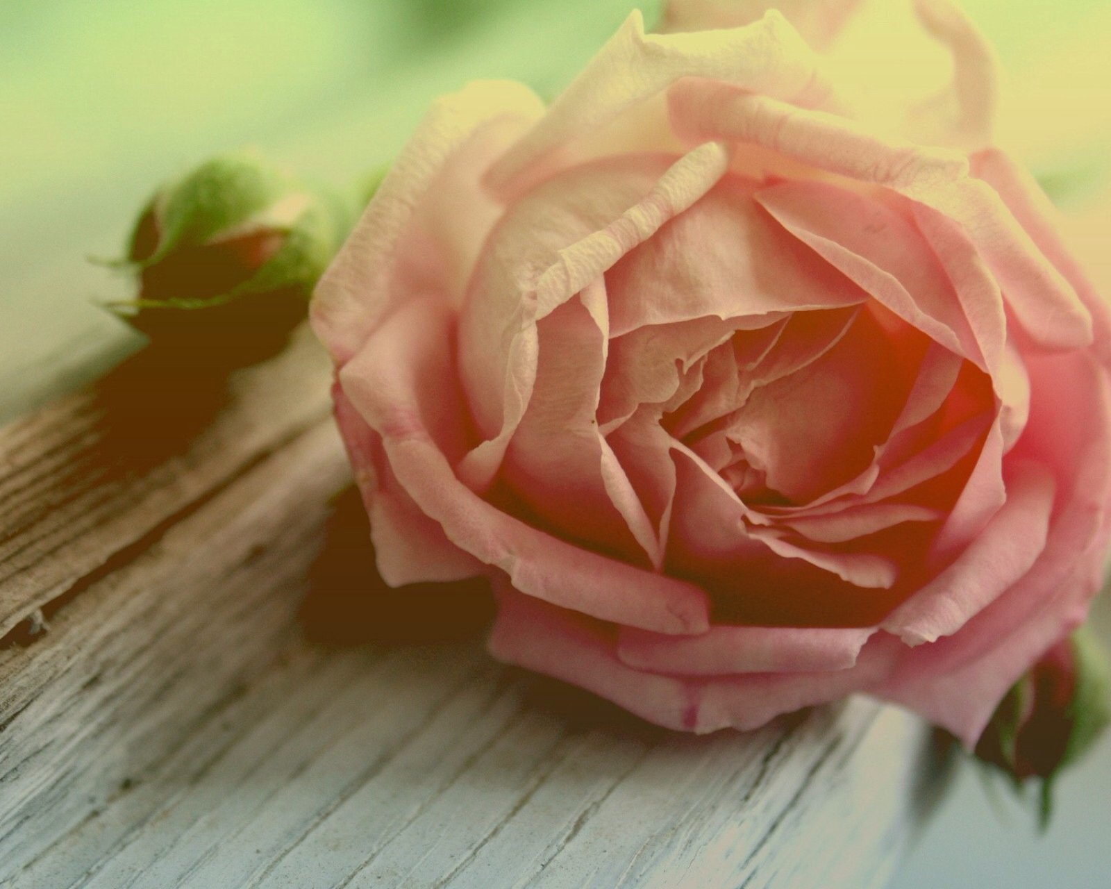 小清新,儿童桌面专用