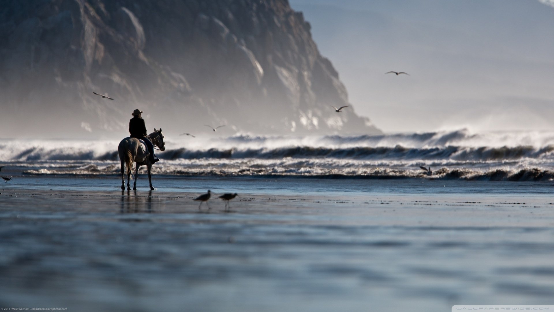 风景,儿童桌面专用