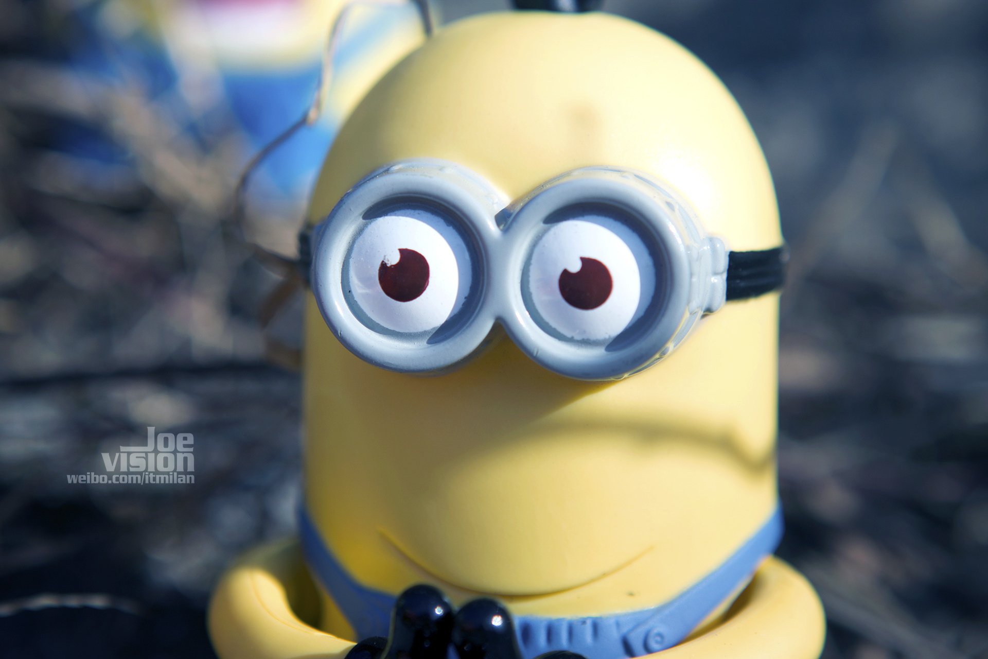 电影,卑鄙的我,神偷奶爸,小黄人,摄影,小黄人专辑