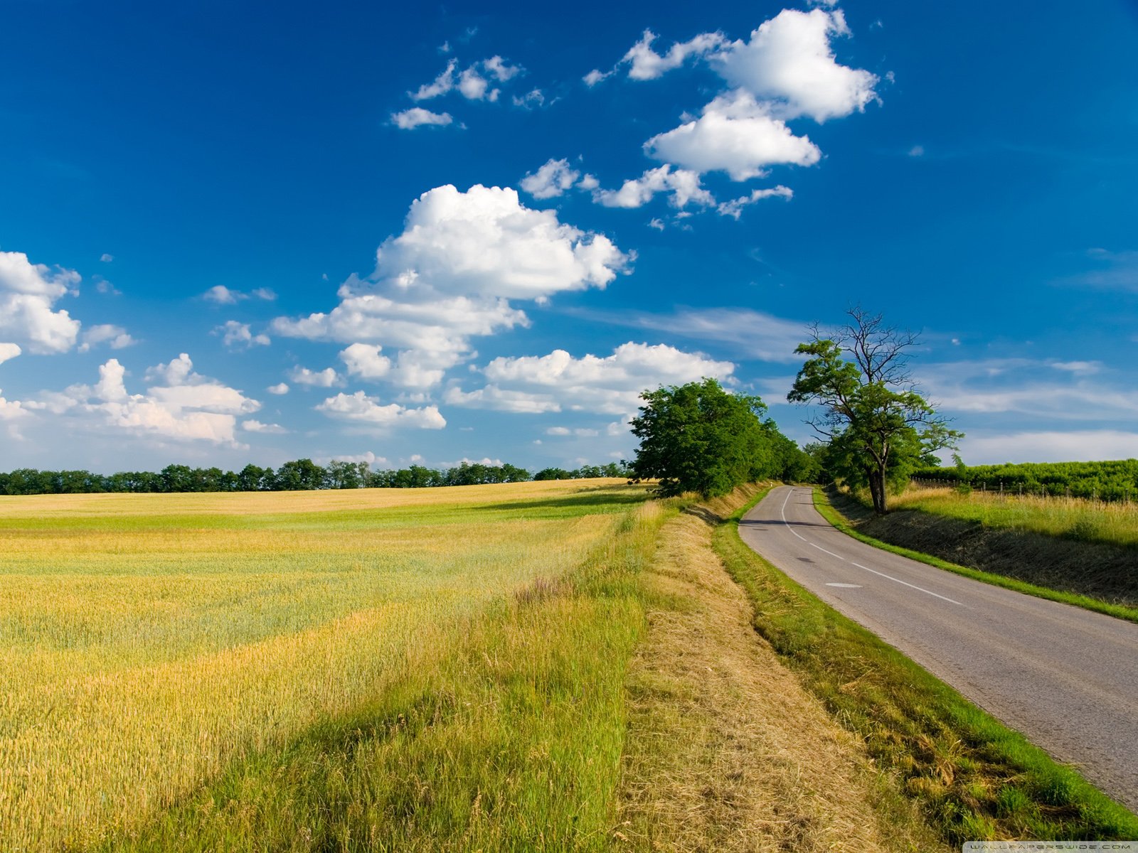 风景,儿童桌面专用