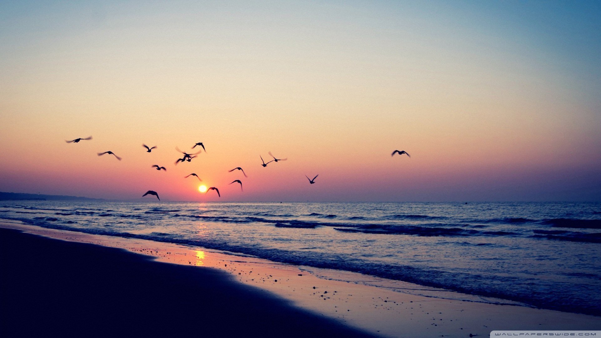 小清新,唯美,温暖,安静,阳光,温馨,儿童桌面专用