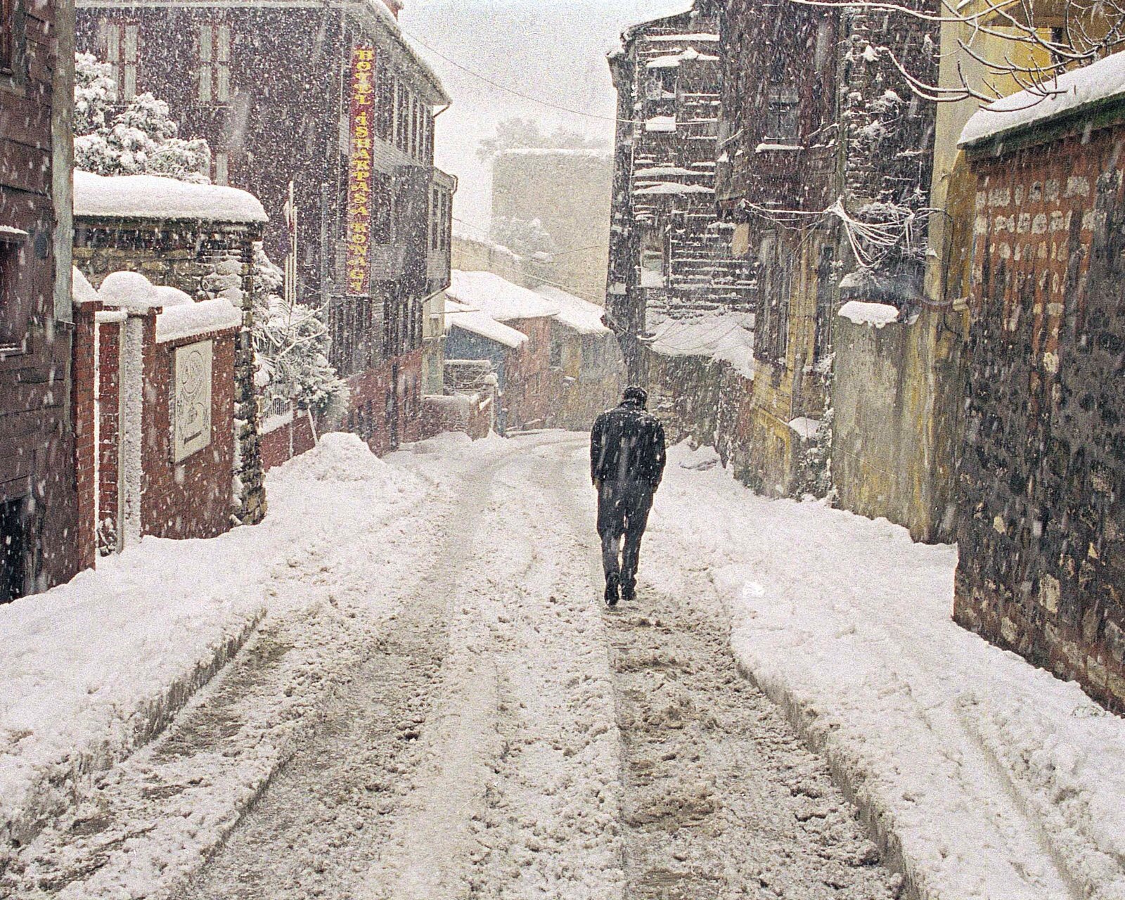 风景,儿童桌面专用