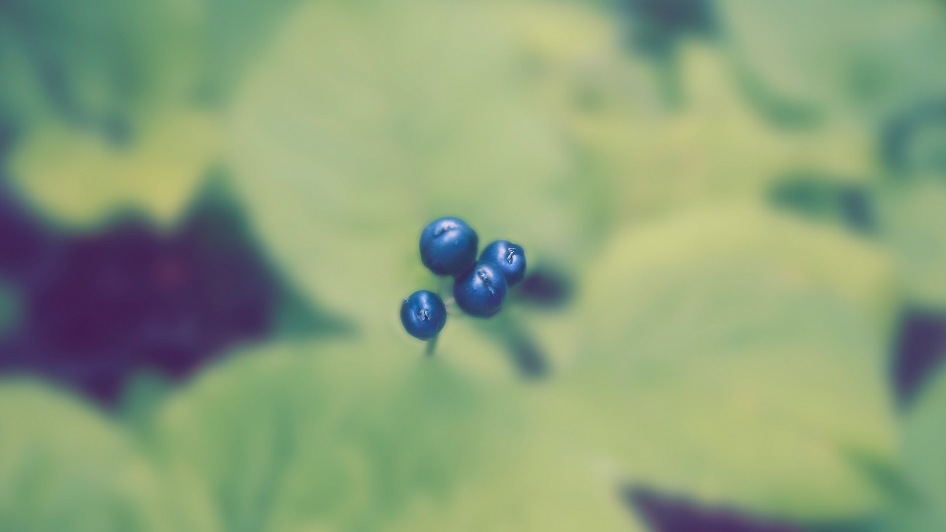 小清新,儿童桌面专用