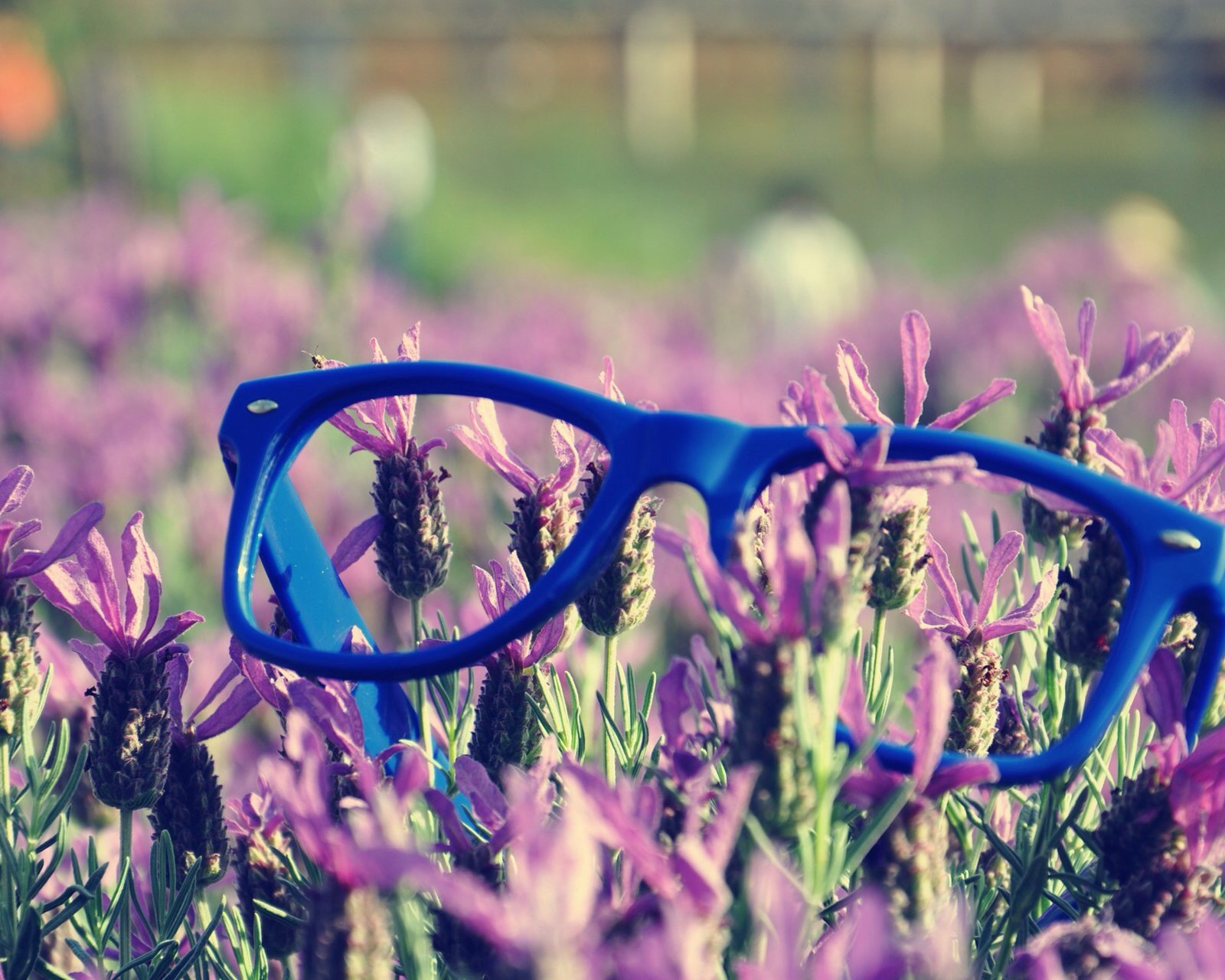 小清新,儿童桌面专用