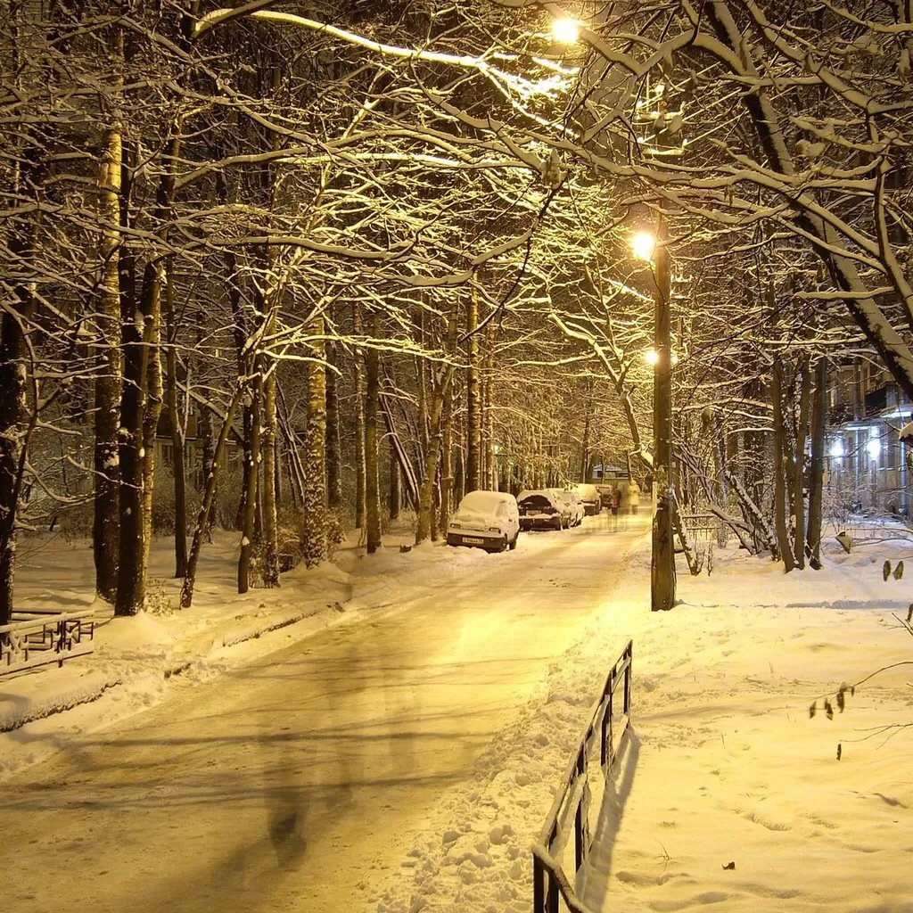 风景,儿童桌面专用