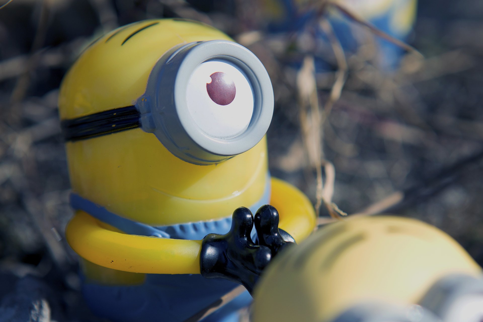 电影,卑鄙的我,神偷奶爸,小黄人,摄影,小黄人专辑