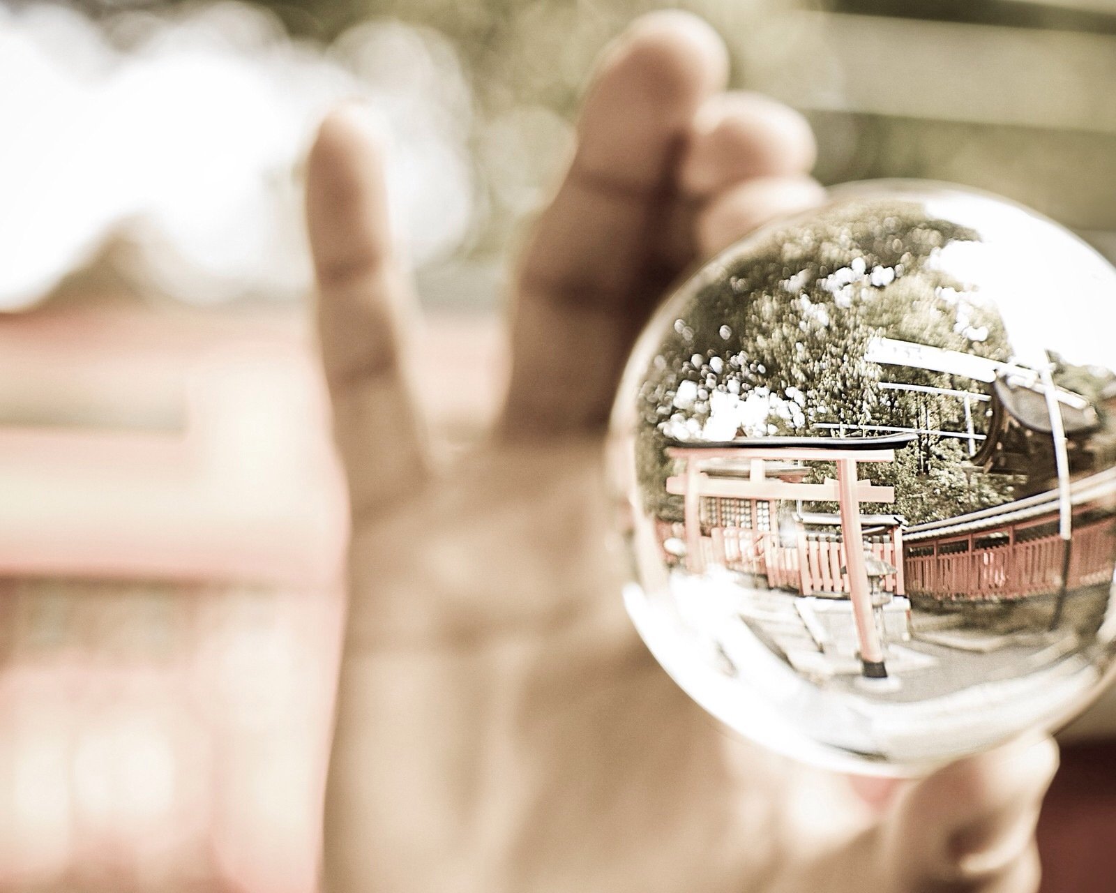 小清新,儿童桌面专用