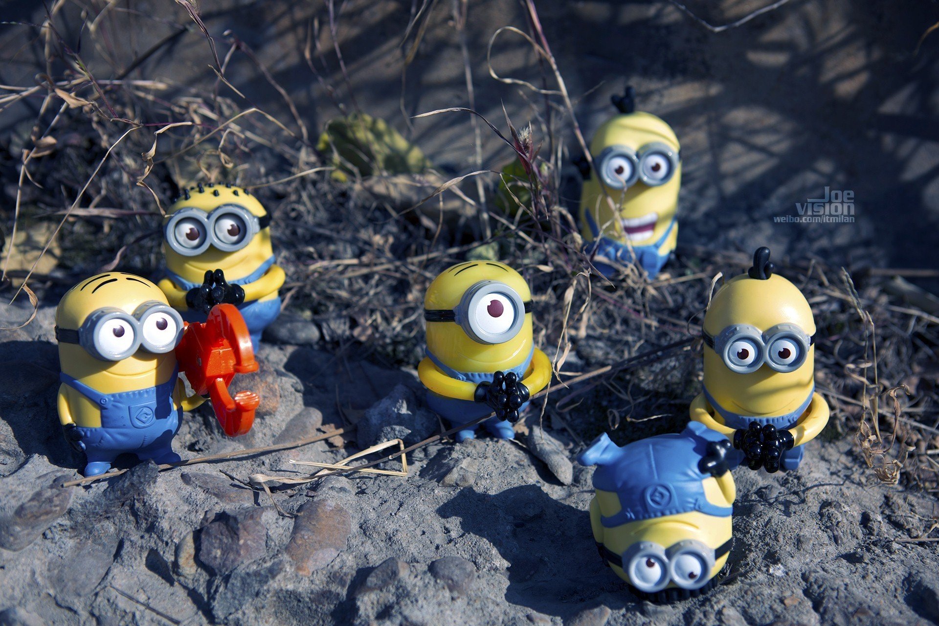 电影,卑鄙的我,神偷奶爸,小黄人,摄影,小黄人专辑