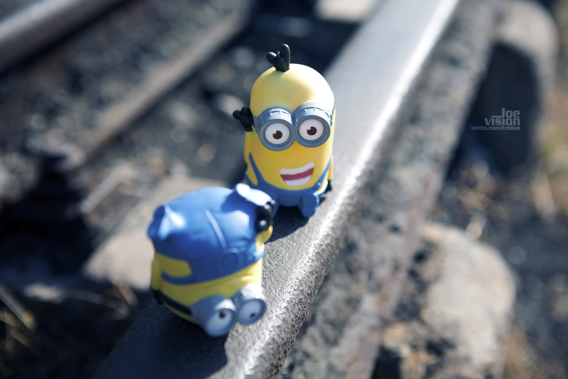 电影,卑鄙的我,神偷奶爸,小黄人,摄影,小黄人专辑