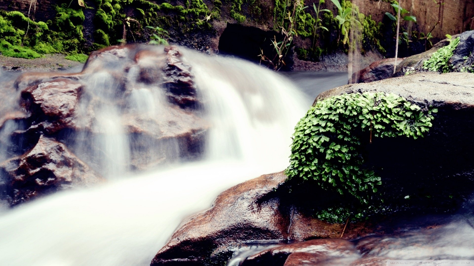 风景,儿童桌面专用