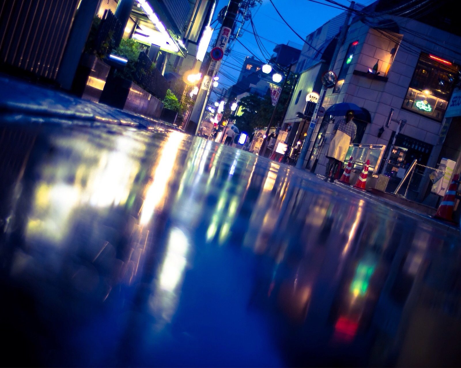 风景,儿童桌面专用