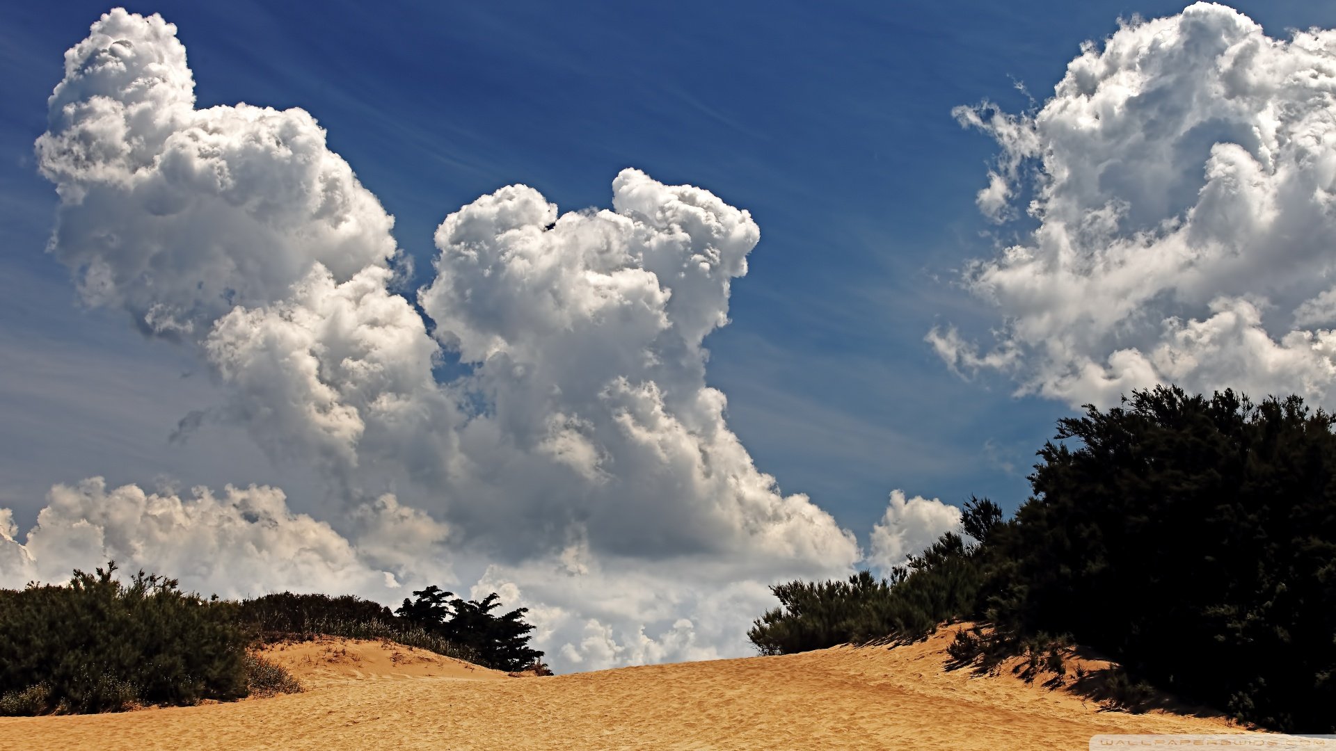 风景,儿童桌面专用