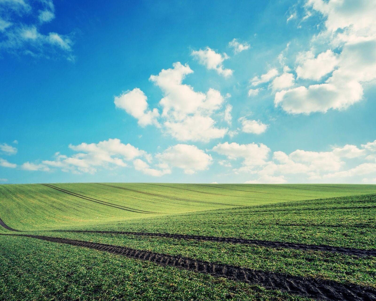 风景,儿童桌面专用