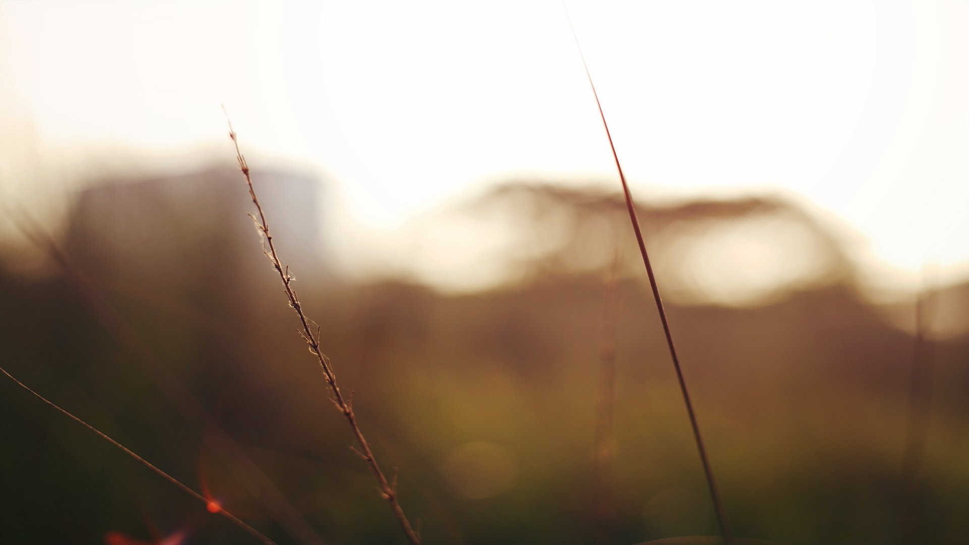 小清新,LOMO,意境,非主流,日系,儿童桌面专用