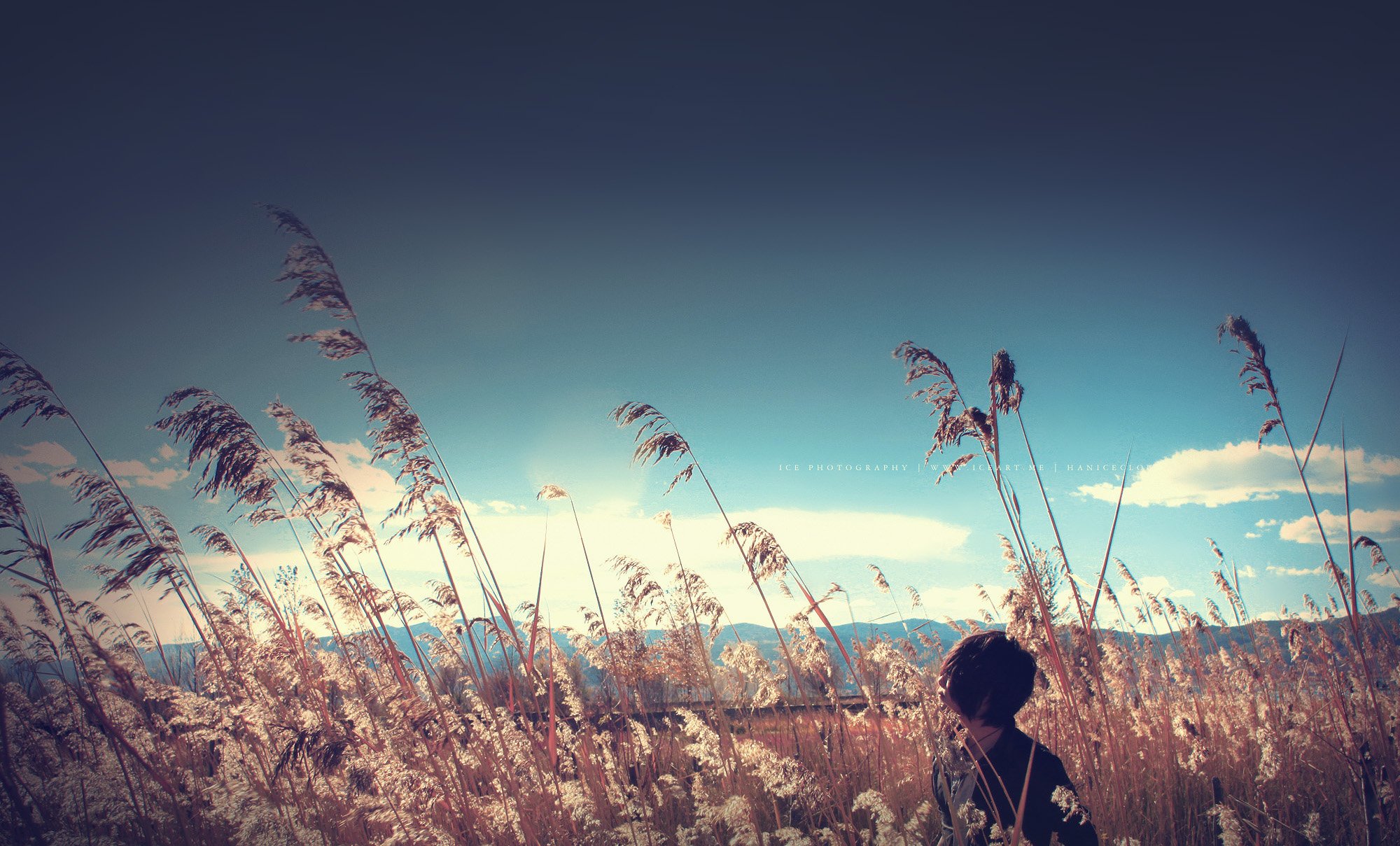 风景,儿童桌面专用