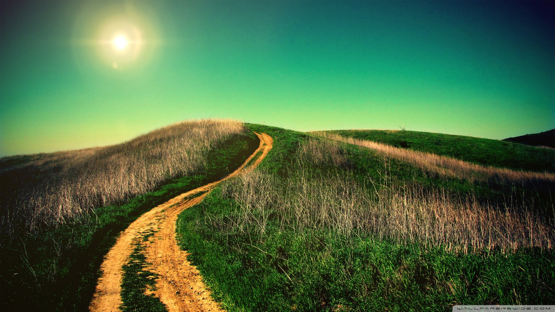 风景,儿童桌面专用