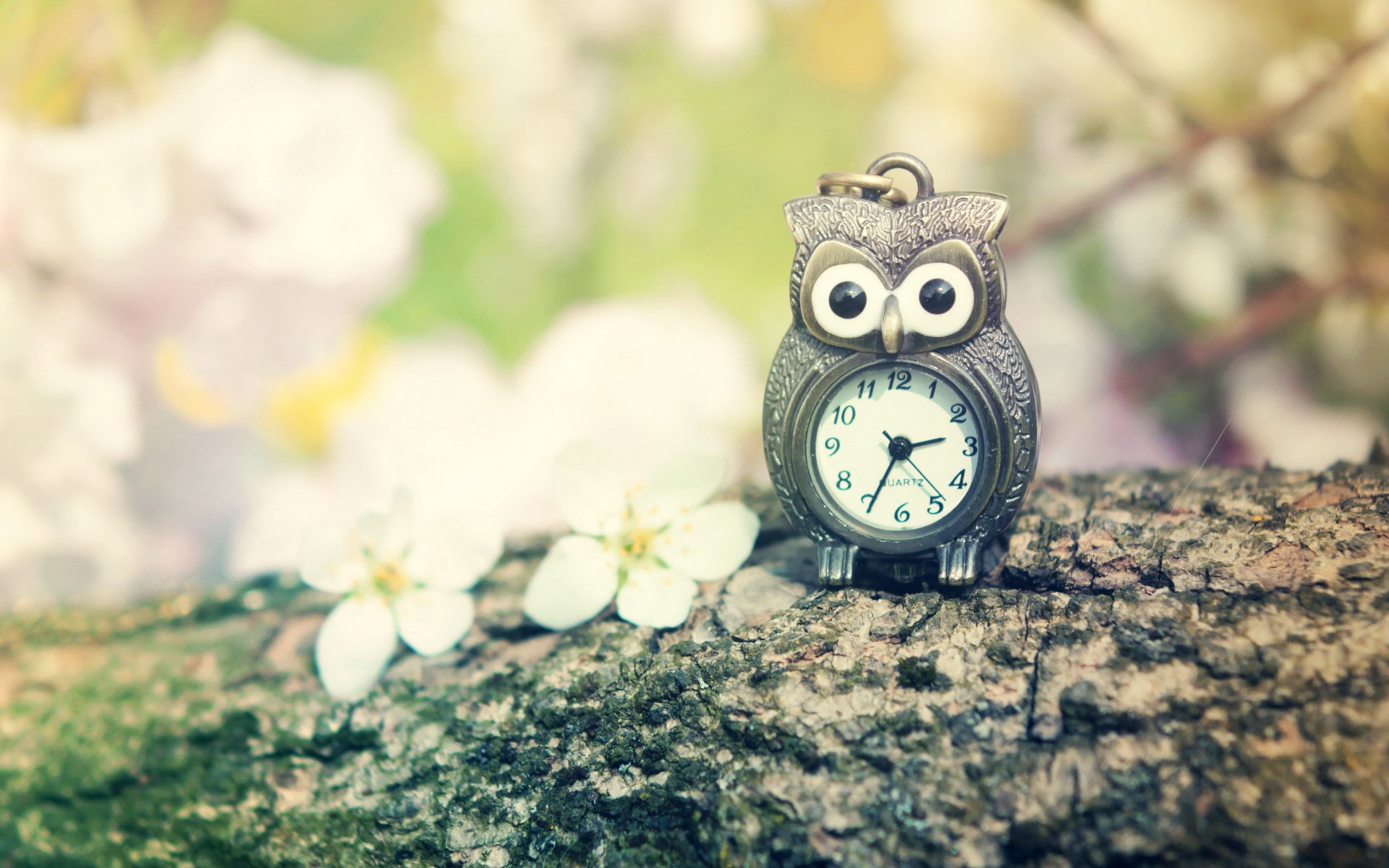 小清新,儿童桌面专用