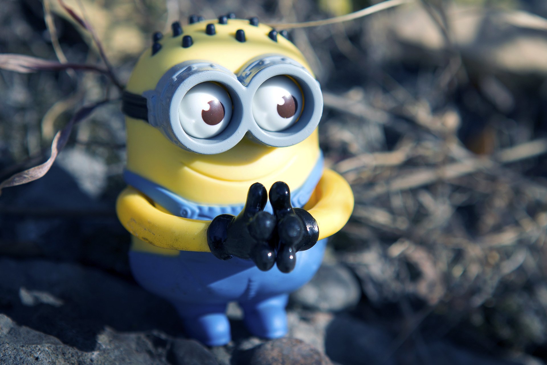 电影,卑鄙的我,神偷奶爸,小黄人,摄影,小黄人专辑