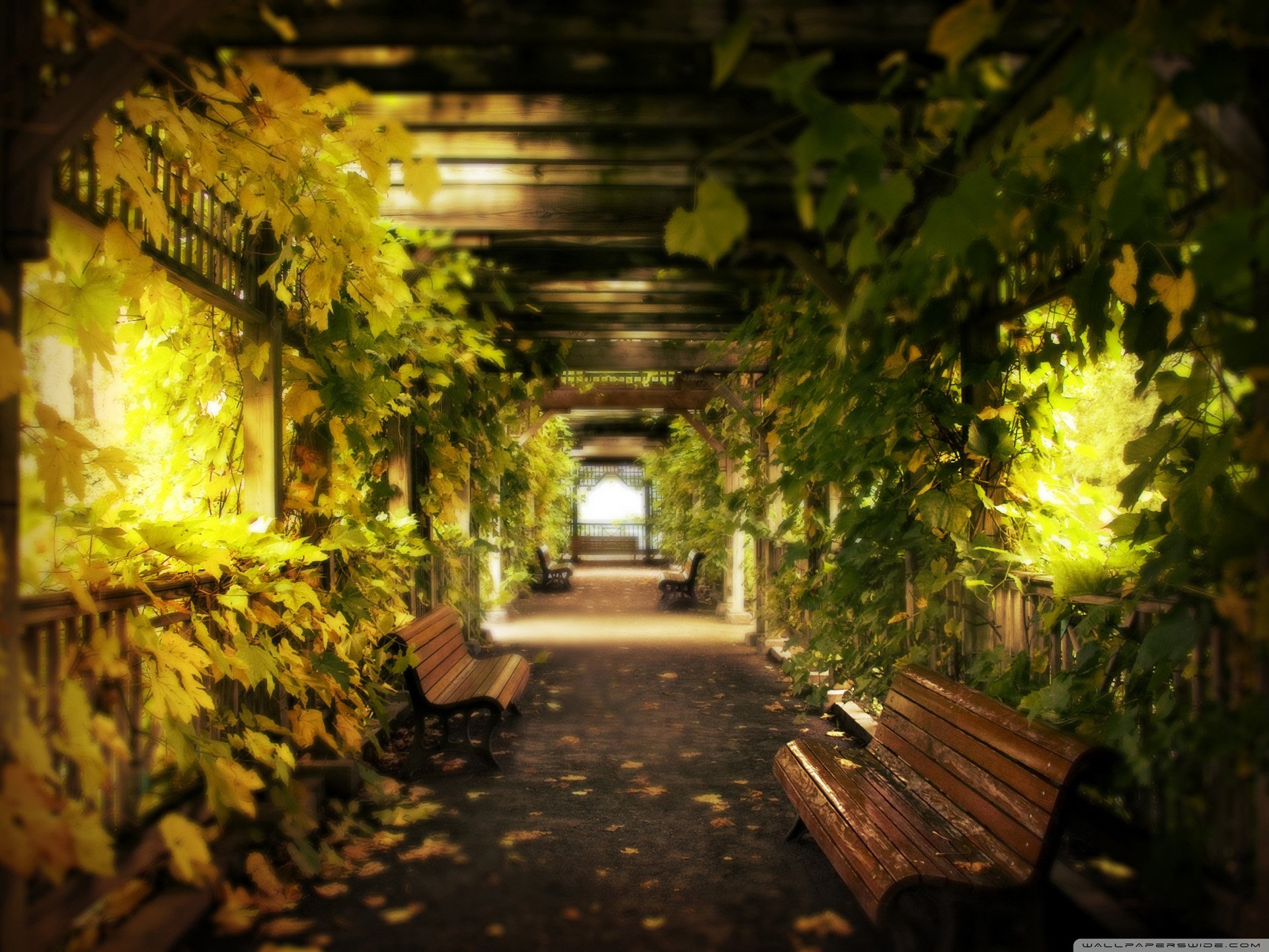 风景,儿童桌面专用