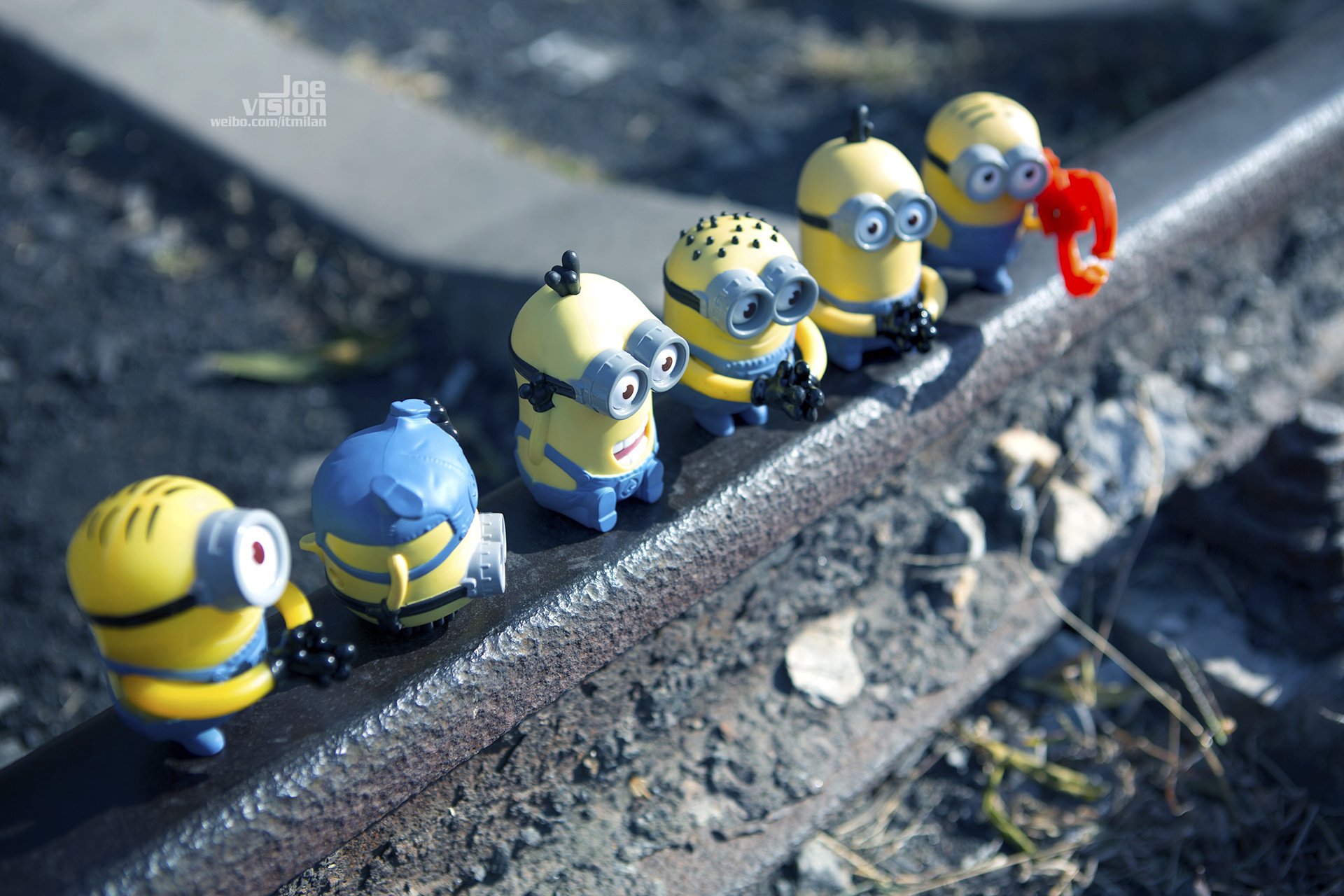 电影,卑鄙的我,神偷奶爸,小黄人,摄影,小黄人专辑