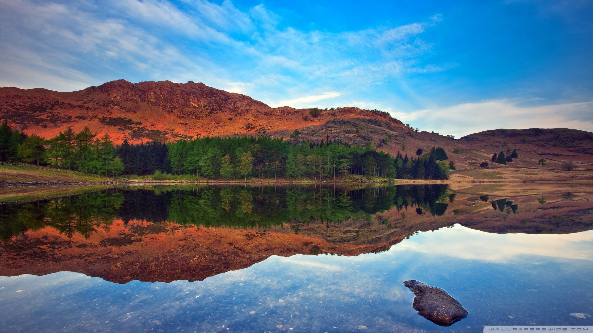 风景,儿童桌面专用